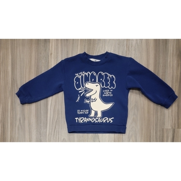 H&M Dinosaur Sweatshirt Navy Size 3-4T - Picture 1 of 7